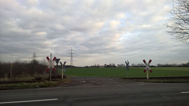 12339245_10153427327278315_3927895598824236399_o