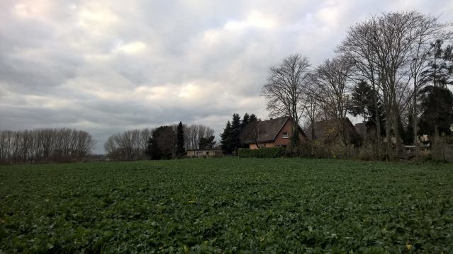 12363175_10153427325148315_7920223834194233539_o