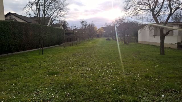 12374837_10153427330183315_6713620233086458274_o